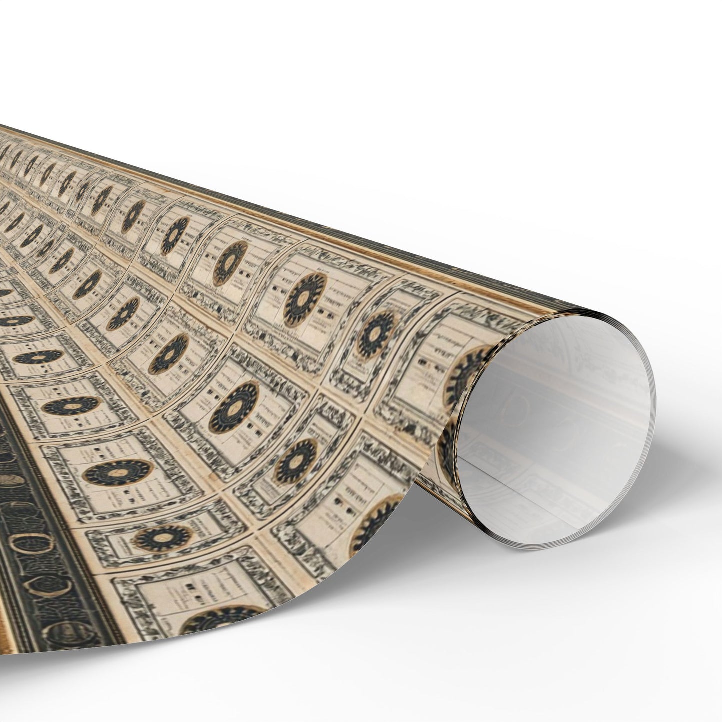 Natural History Specimen Label Wrapping Paper