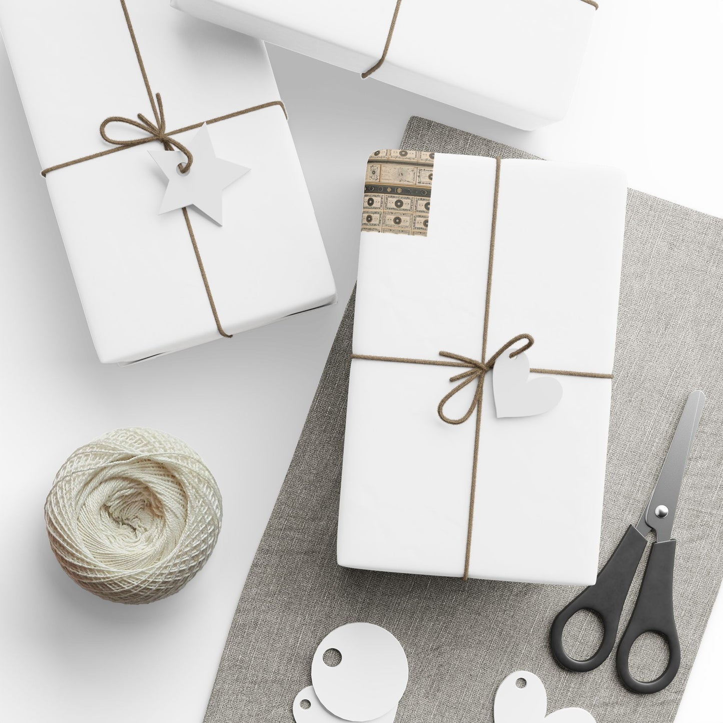 Natural History Wrapping Paper | Specimen Label & Naturalist Archive Pattern | All-Season Gift Wrap